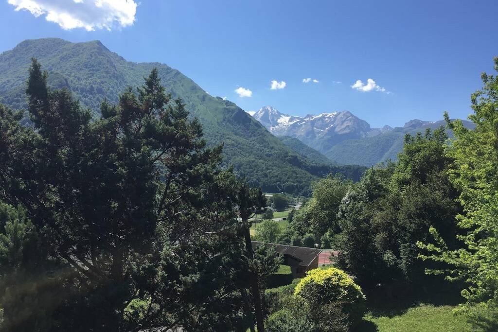 Chalet De L'Ours Brun, Gite 3 Etoiles Gere-Belesten Kültér fotó